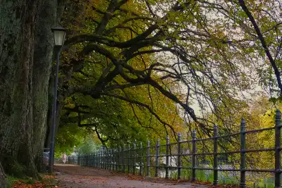Auf der Insel in München